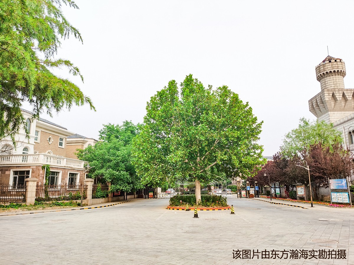 天鹅堡168号楼23套房产(共23套|天鹅堡二手房|天鹅堡法拍房|天鹅堡