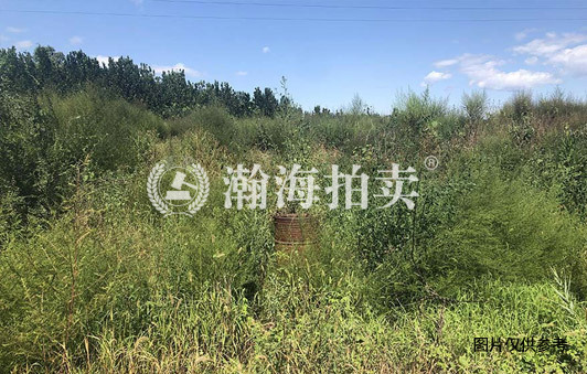 龙塘路南侧土地+地热井2口