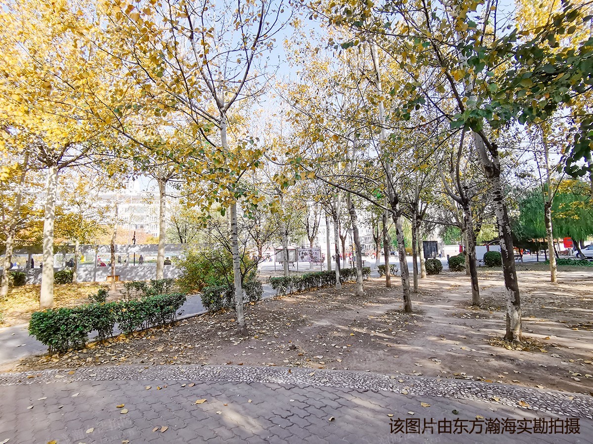 天通苑北二区33号楼3单元1202室（复式）
