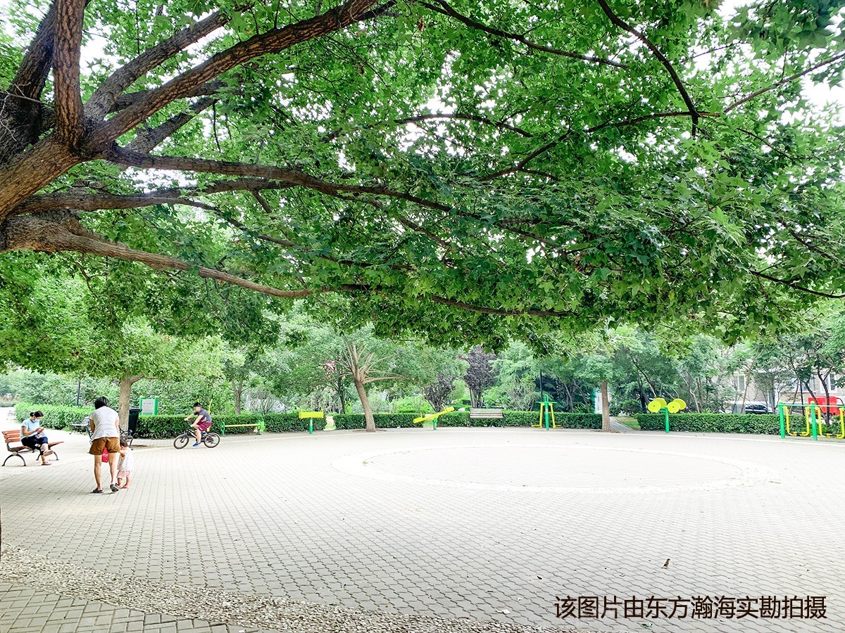 天通苑北二区33号楼3单元1202室（复式）