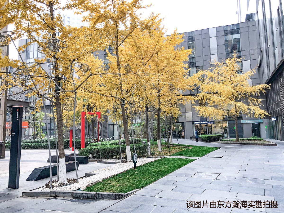 SOHO尚都4号楼2803室