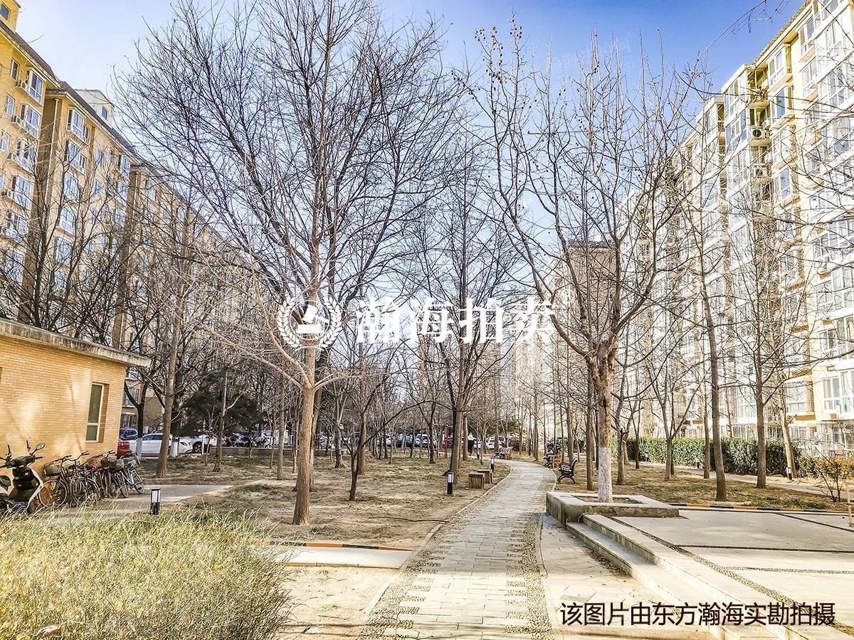 西山枫林