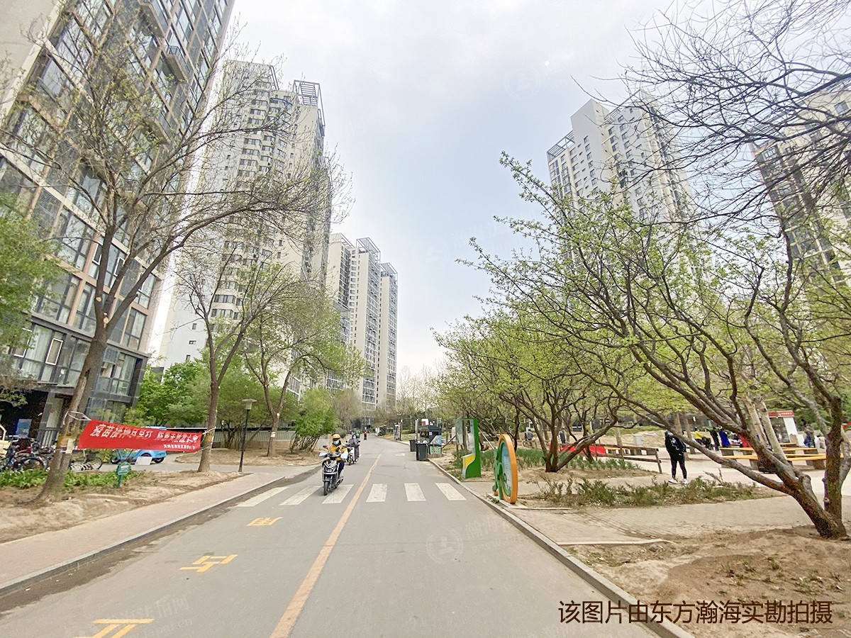 云龙家园3号楼3单元203室