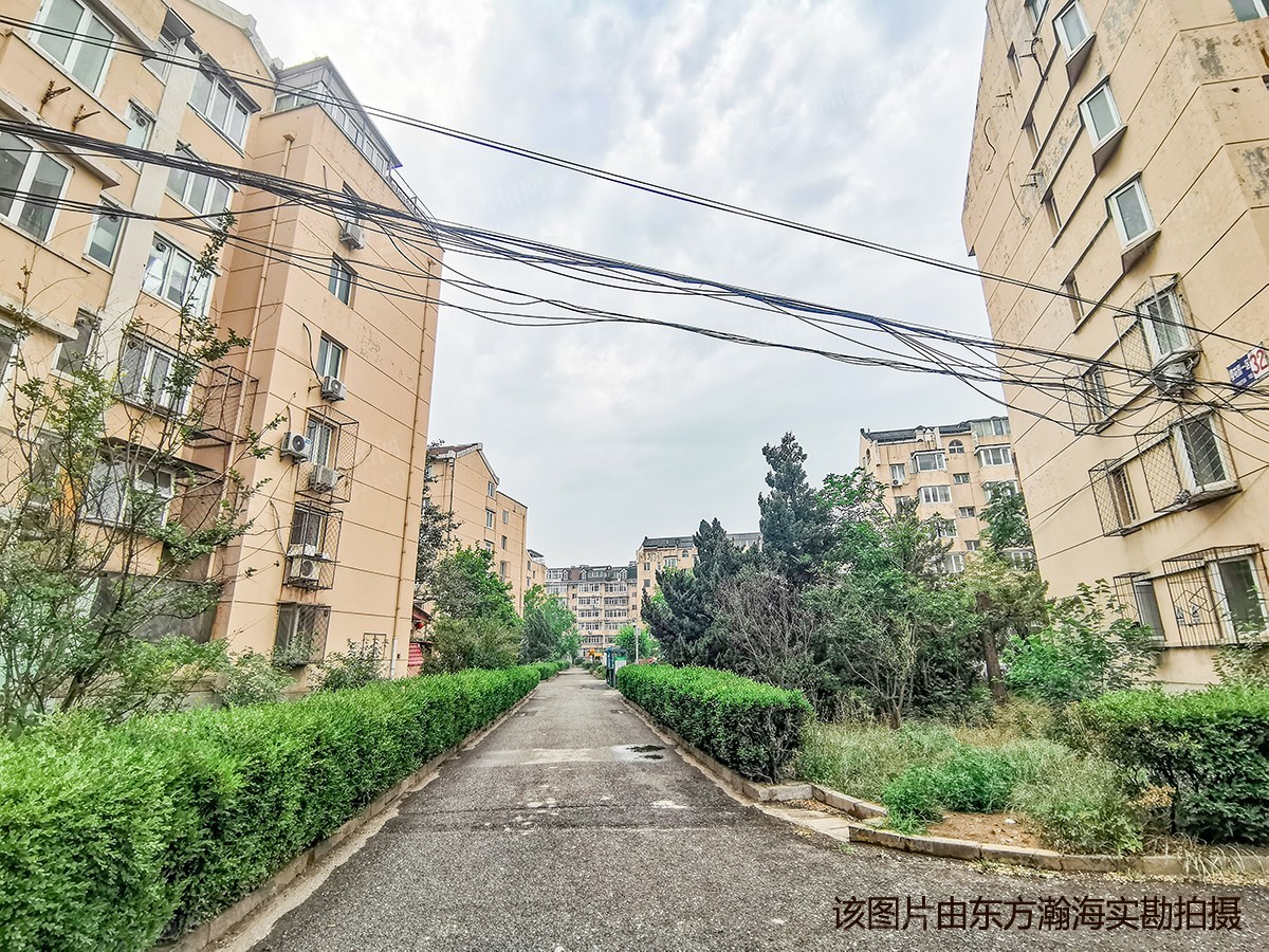 樱花园一区31号楼2单元501室