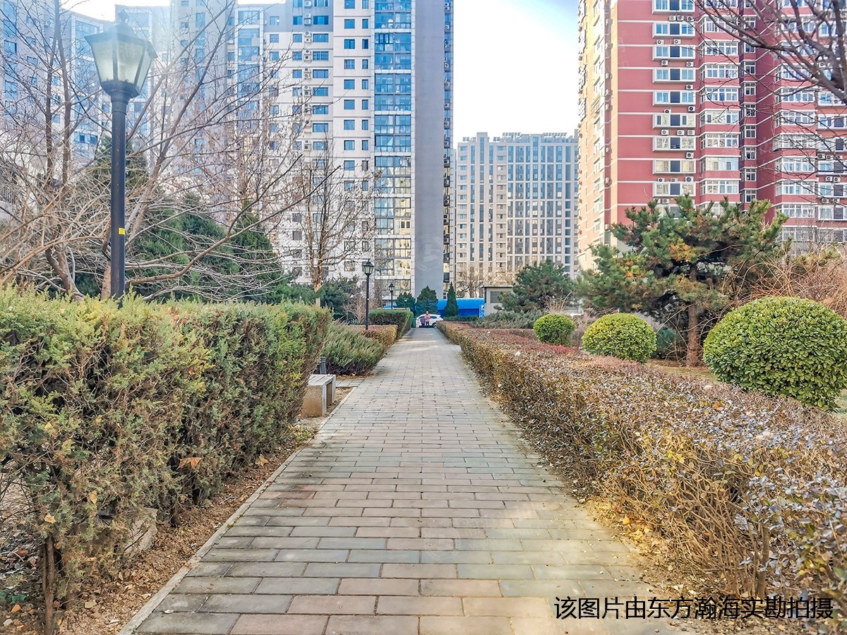 青塔东里26号楼204室