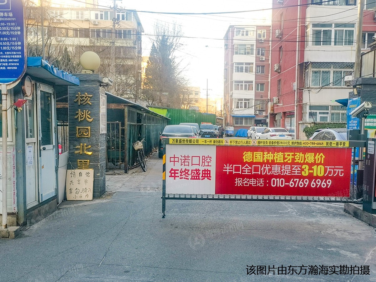 核桃园北里5号楼2单元101室