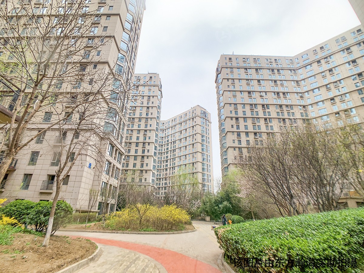 朝阳自主城6号楼1007室