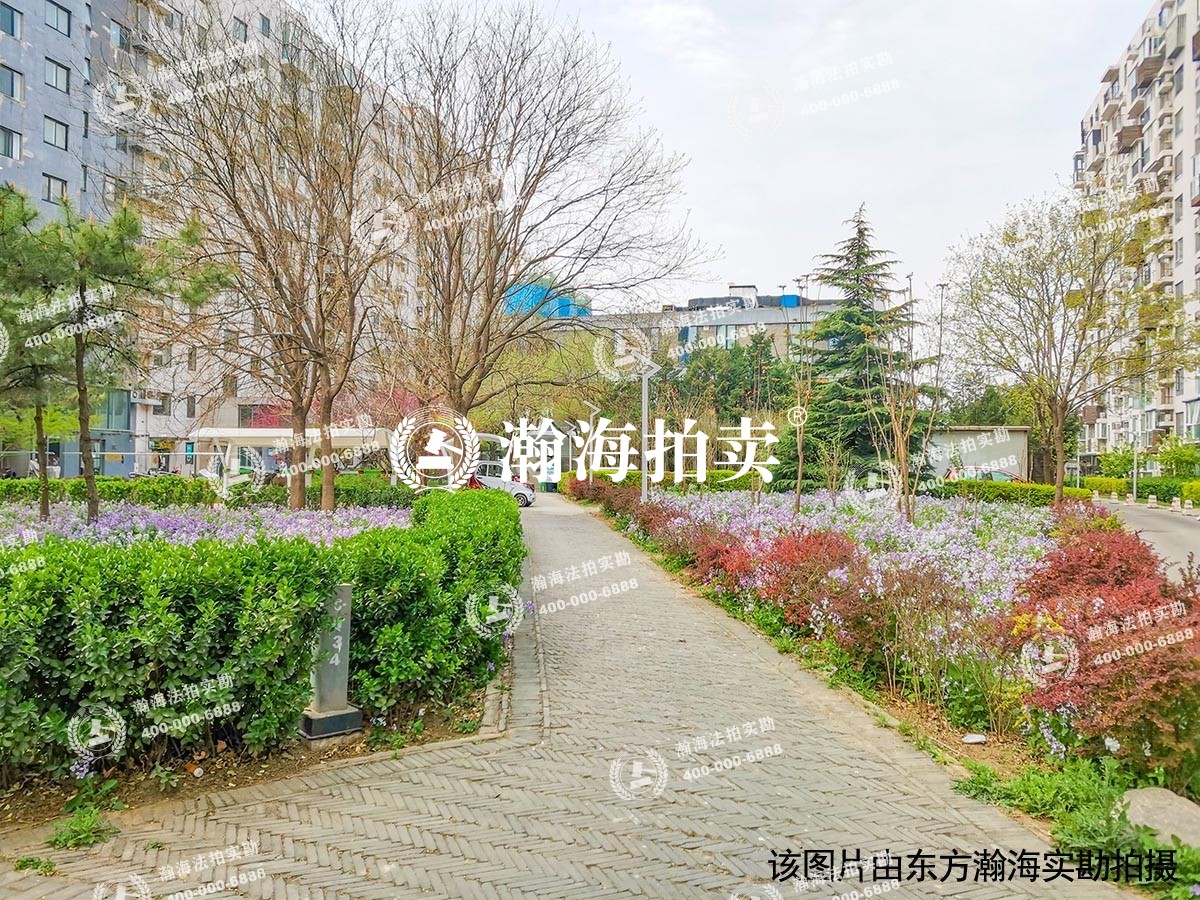 苹果派