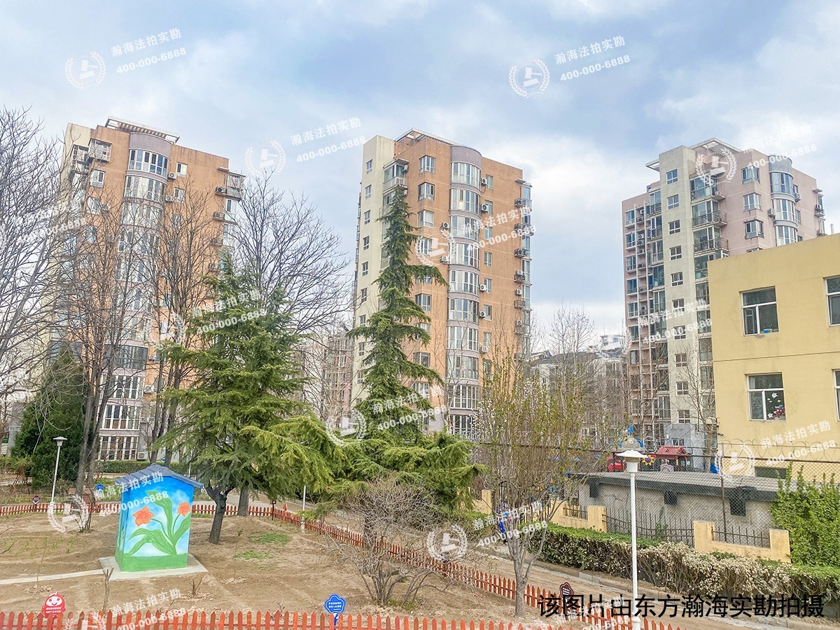 丽园B区10号楼1单元202室