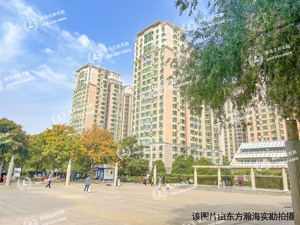 太阳园11号楼202室