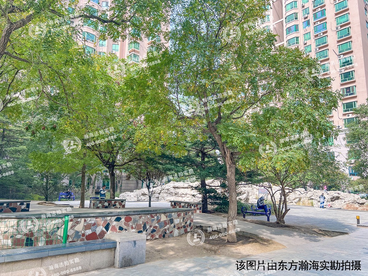 太阳园11号楼202室