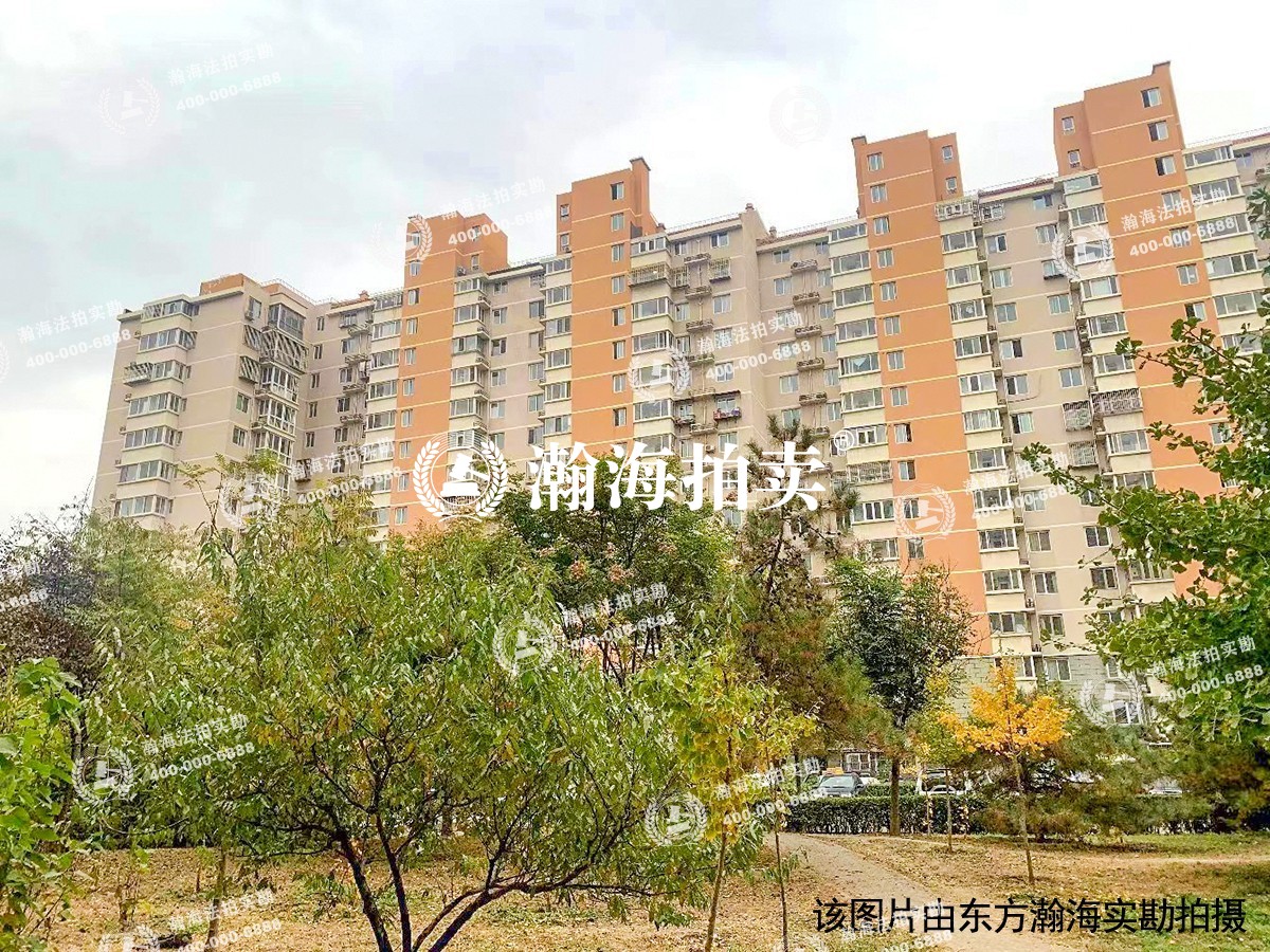 西马金润一区
