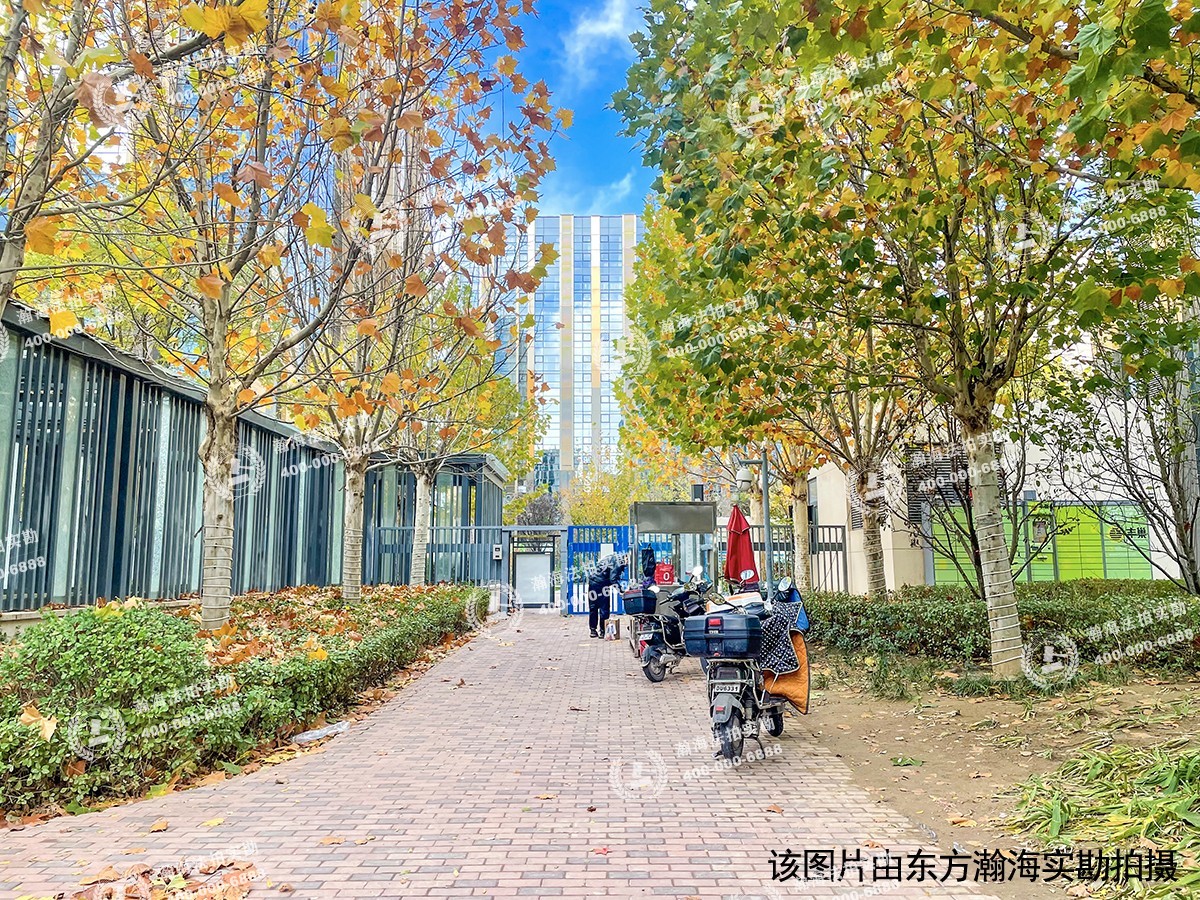 泰禾一号街区2号楼704室