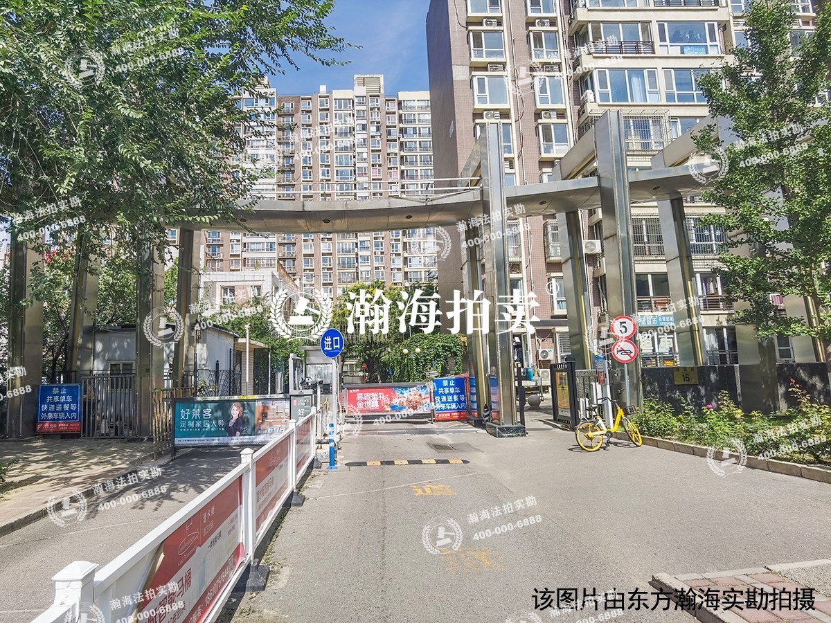 华龙美树