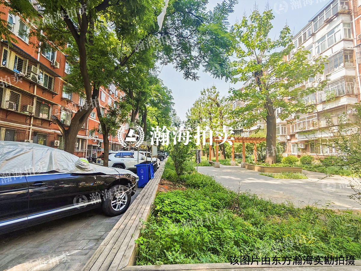 新源街