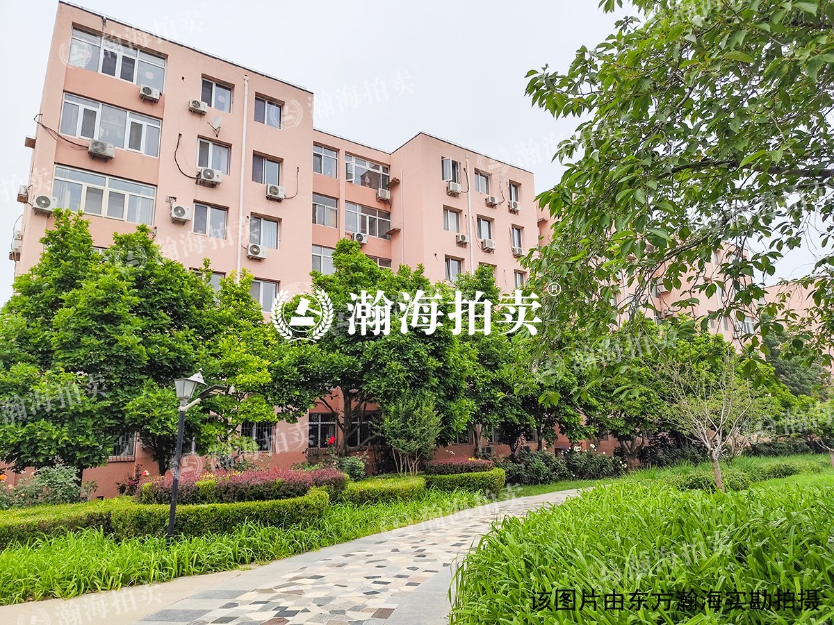 苏庄东街10号院