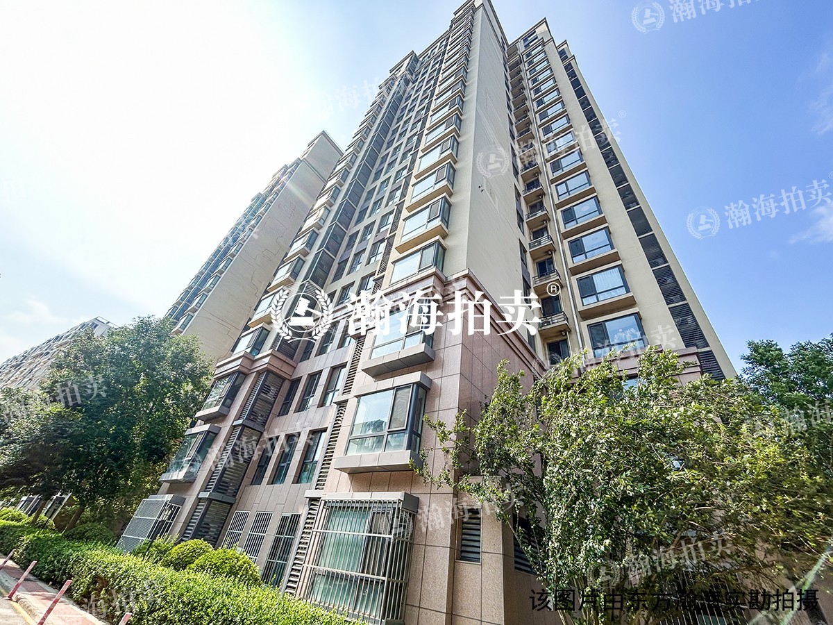 天同11号