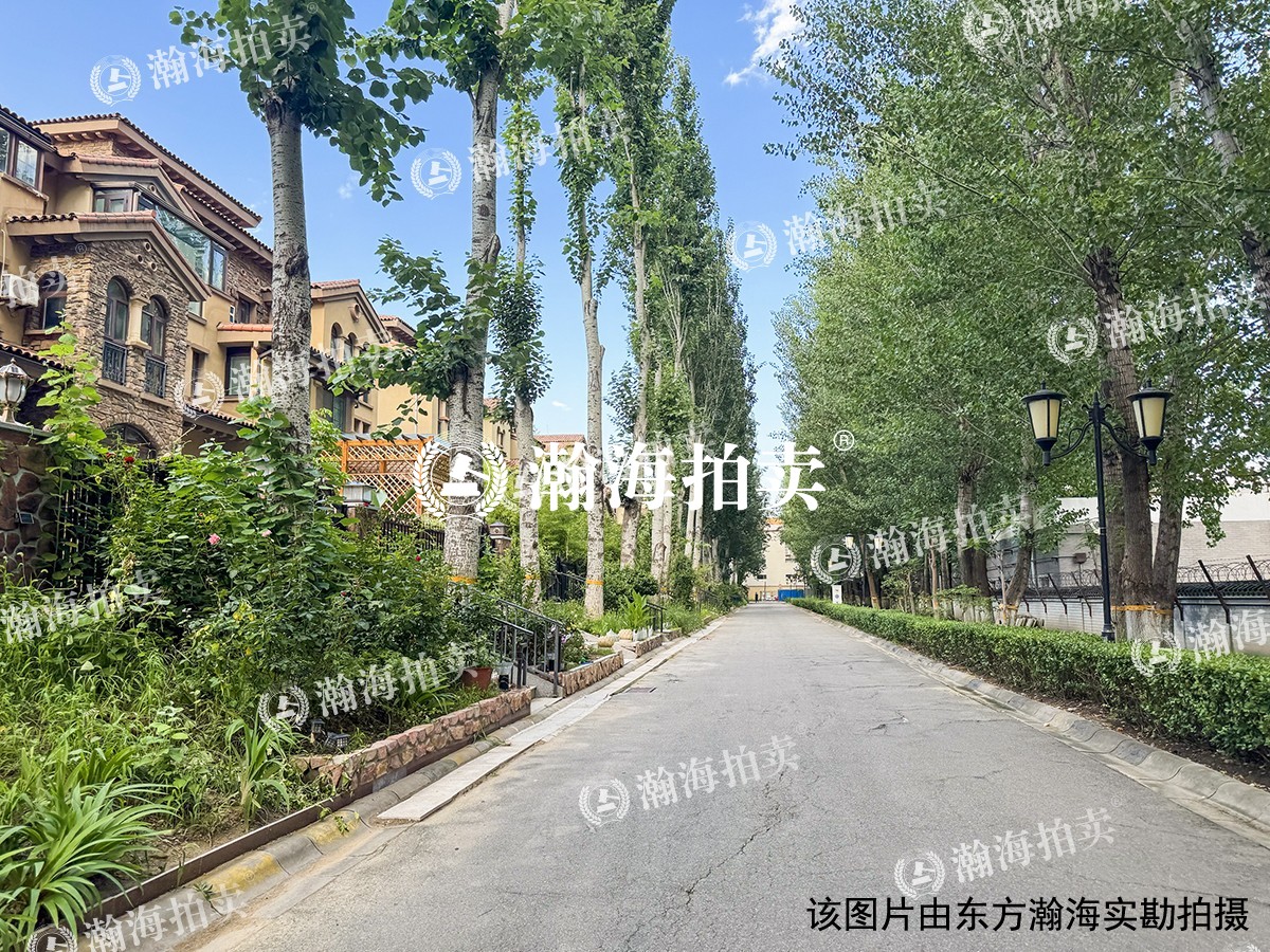 金科帕提欧