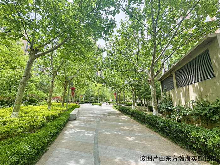96ea1c90-6f77-4775-a3bf-4f30cf912f87(1)