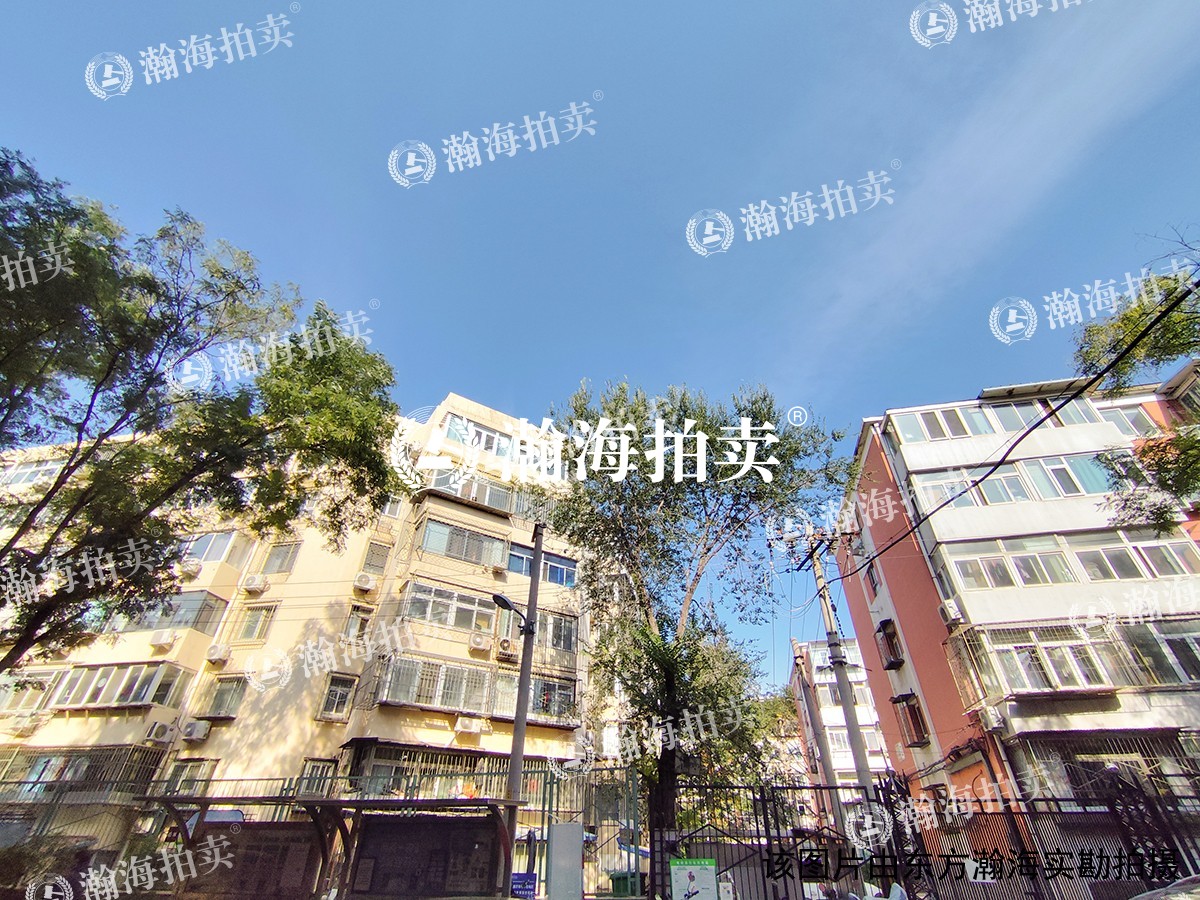 新外大街10号院