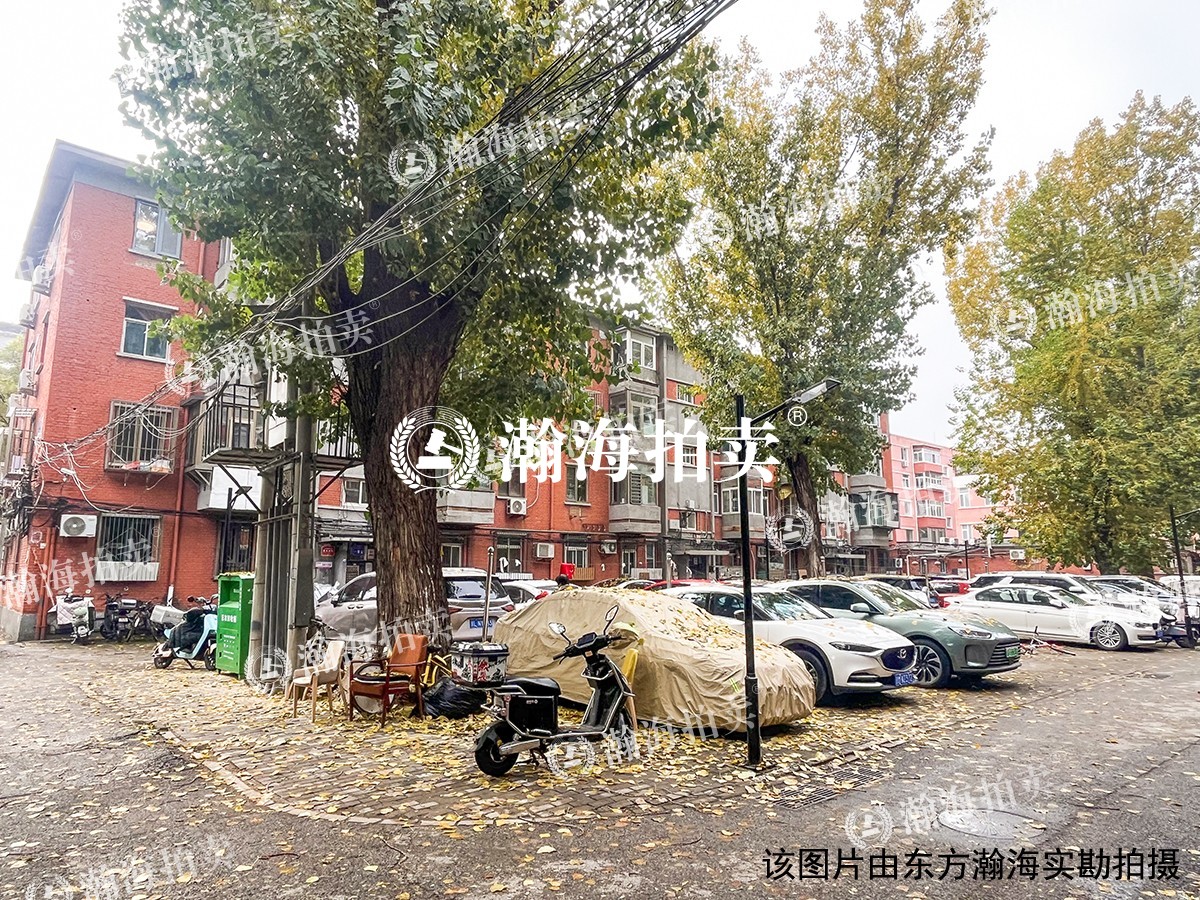 大柳树甲17号院