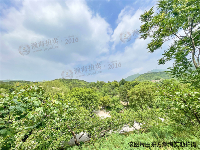 b3c350568f80b062c10ac675a94ef236(1)