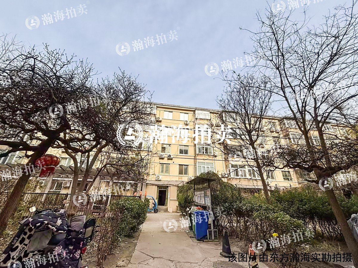 沙滩后街55号院