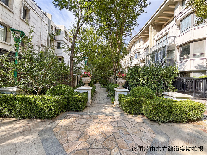 d83ed5e-72a1-4db8-a48c-918e06f5546d(1)