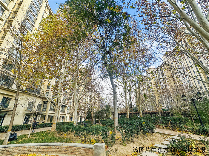 de0e2c8-317a-4234-83e7-22e1abff9705(1)