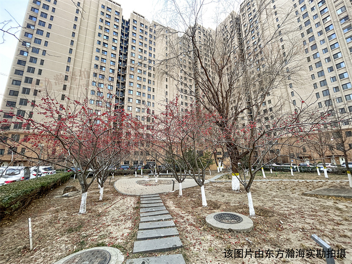 a887d1b1-200f-48d0-b277-e30ef4180695(1)