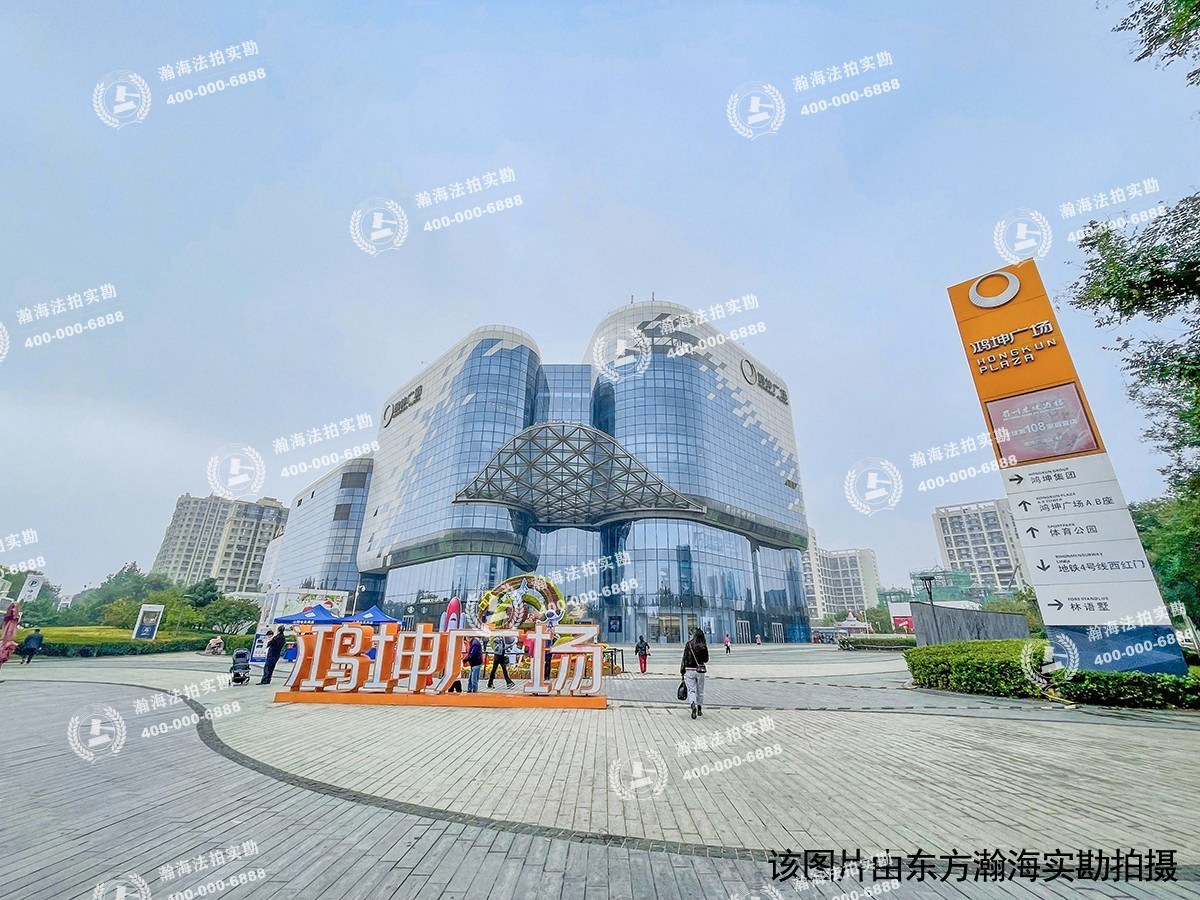 鸿坤理想城礼域府17号楼1单元203室