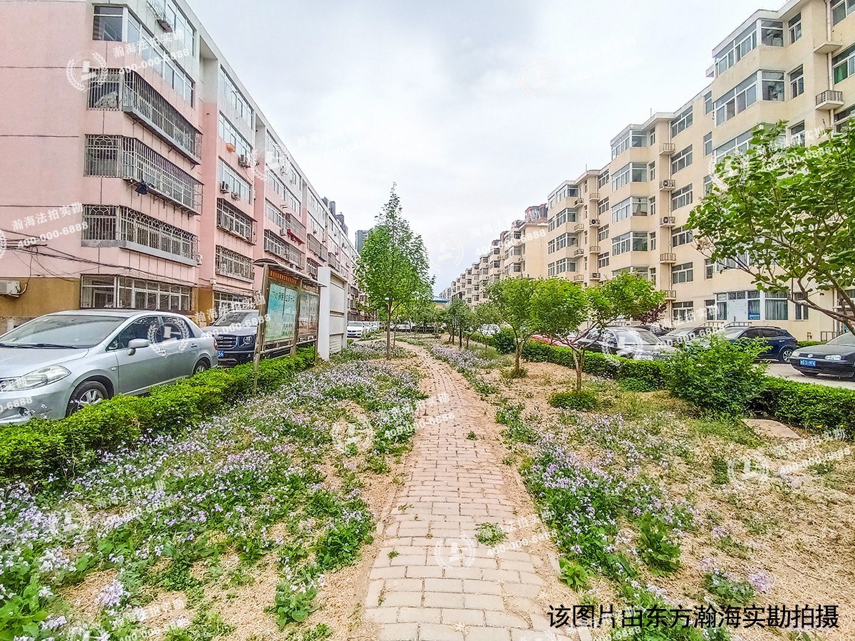 乐园西小区52号楼2单元5-10室