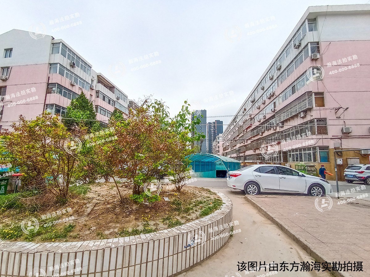 乐园西小区52号楼2单元5-10室