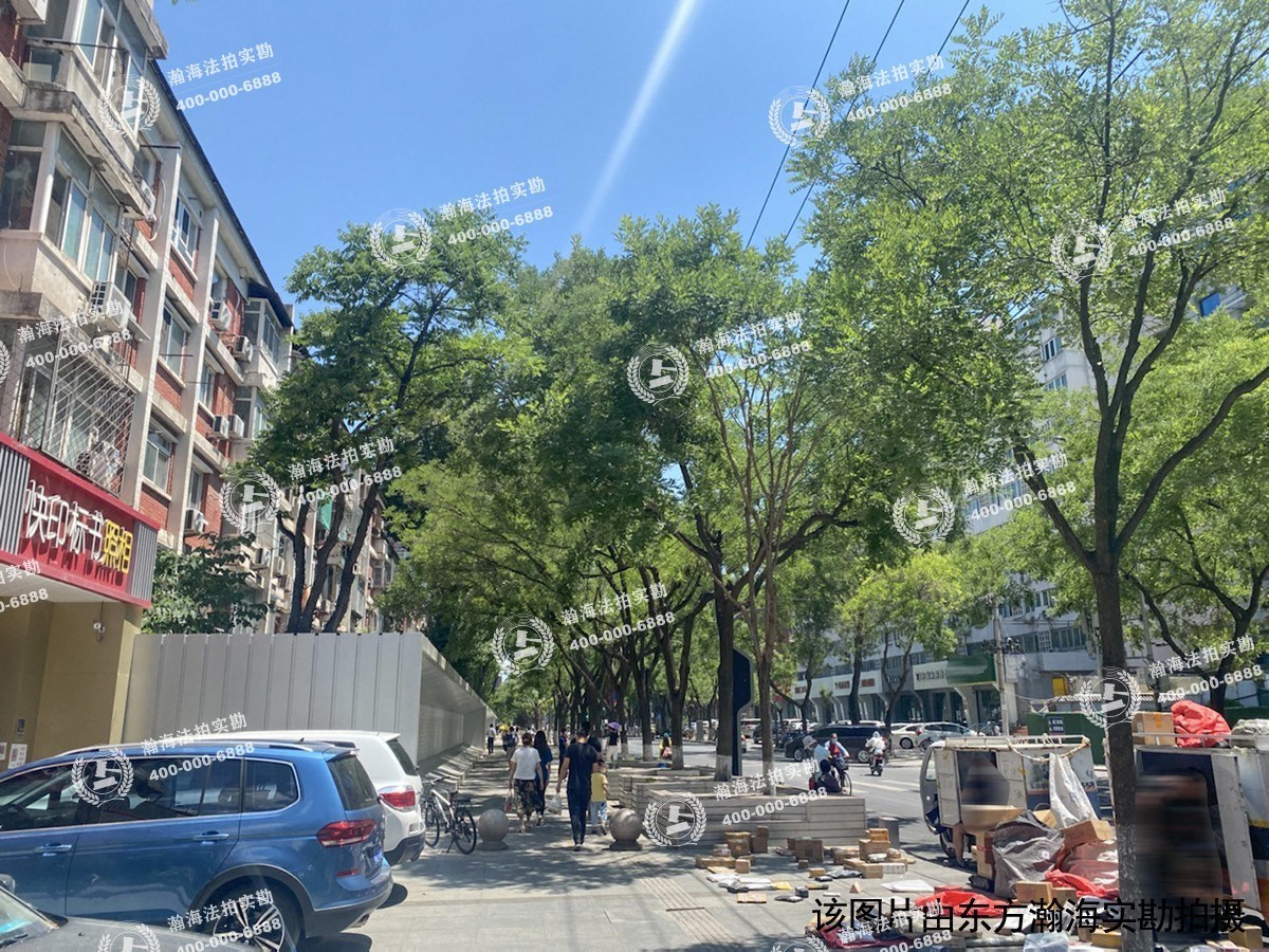 东南小区923号楼4单元208室