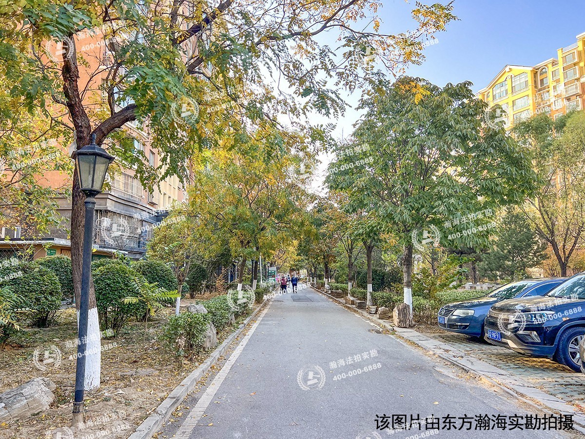 九洲溪雅苑二区12号楼3单元802室（50%份额）