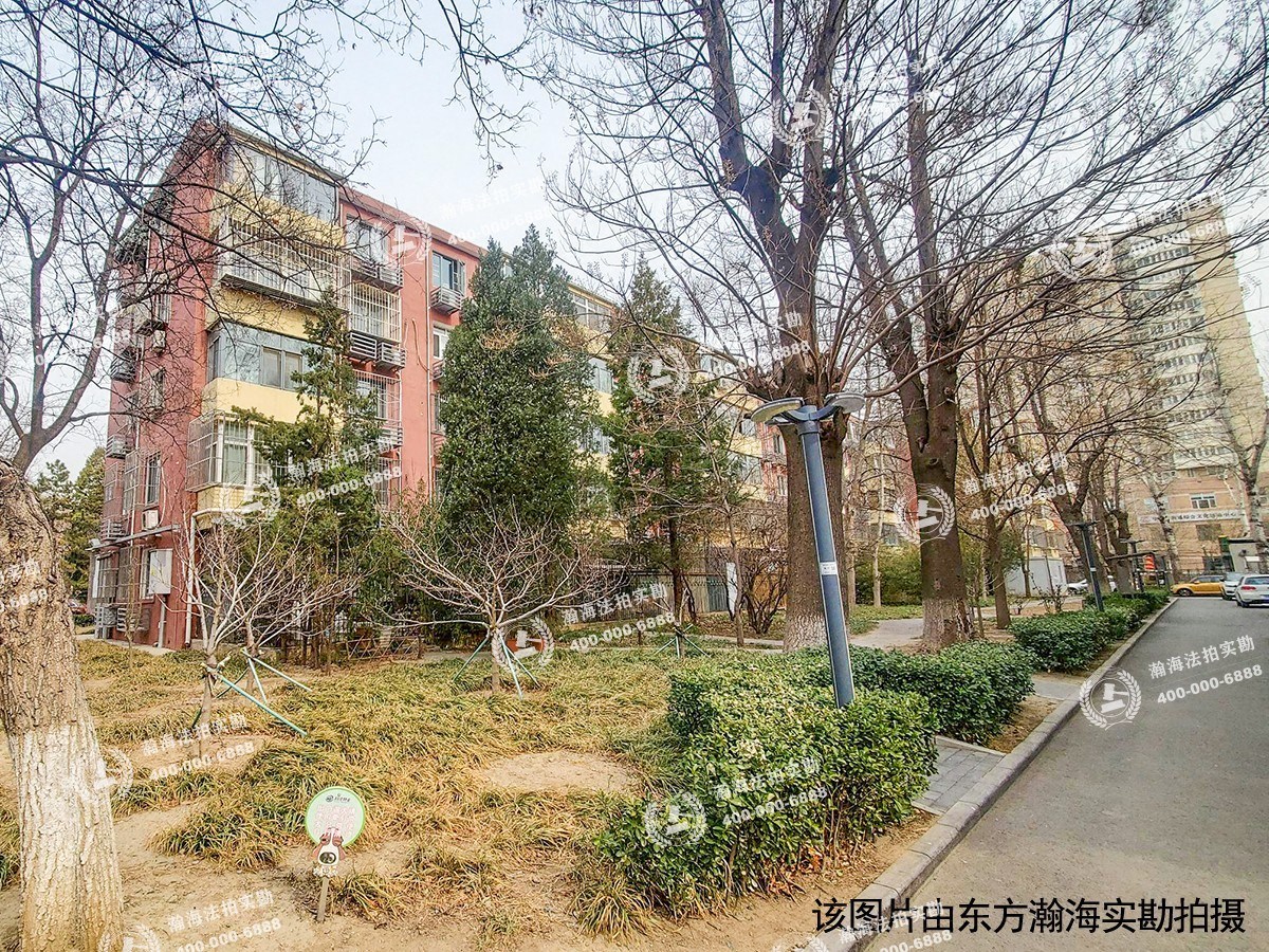 东南小区923号楼4单元208室
