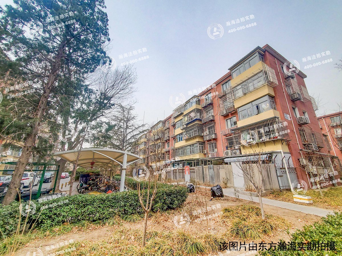 东南小区923号楼4单元208室