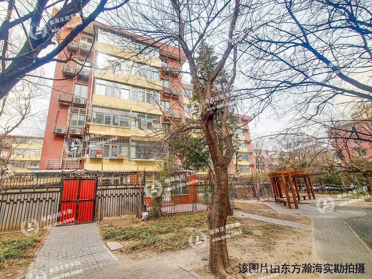东南小区923号楼4单元208室
