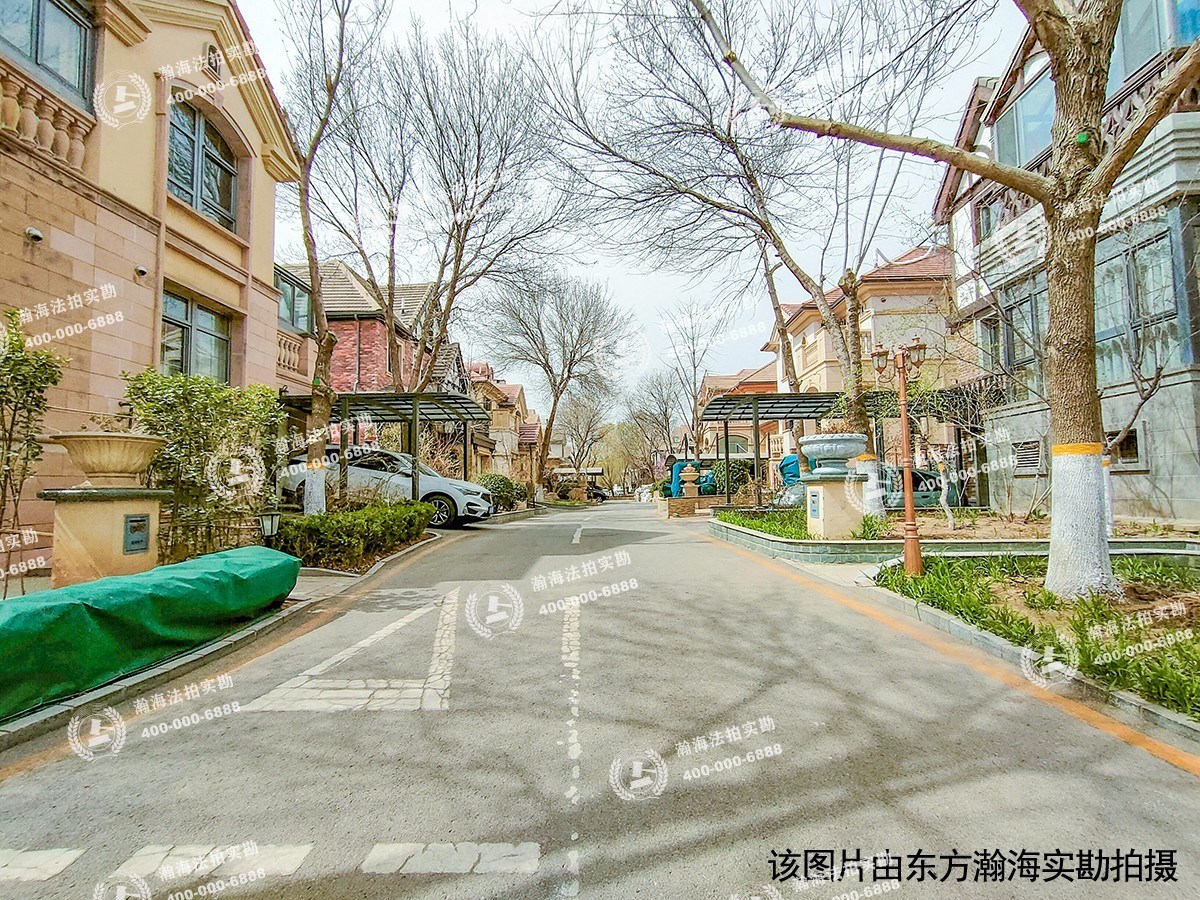 蓝岸丽舍82号（独栋别墅）