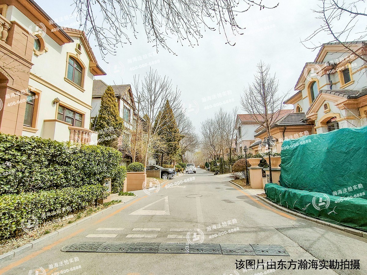 蓝岸丽舍82号（独栋别墅）