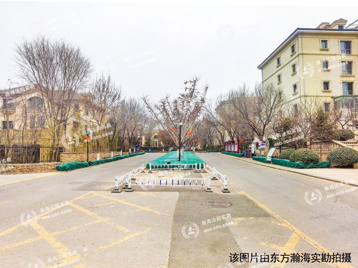 蓝岸丽舍82号（独栋别墅）