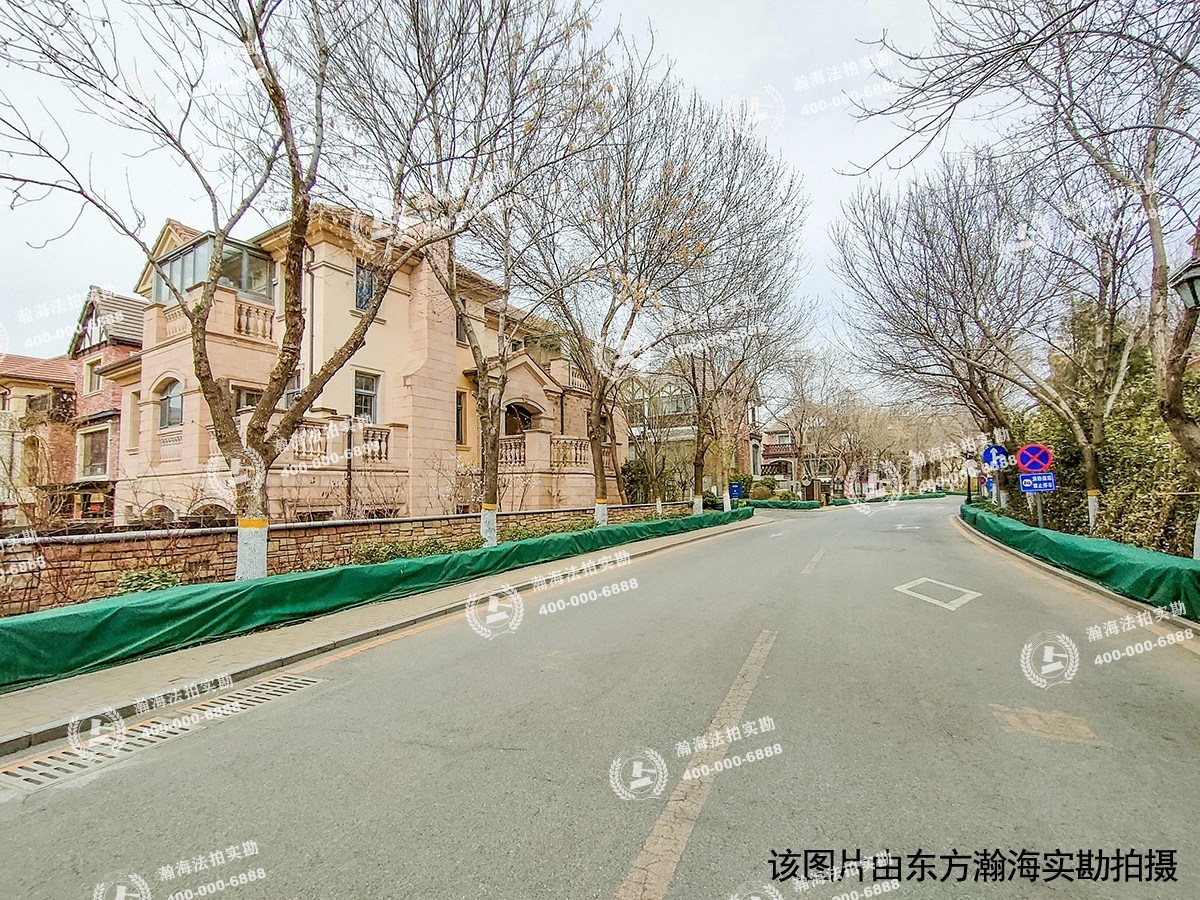 蓝岸丽舍82号（独栋别墅）