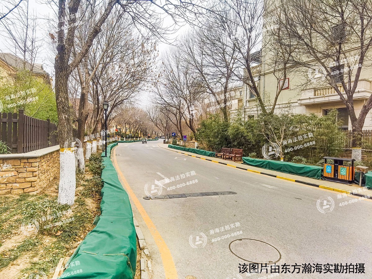 蓝岸丽舍82号（独栋别墅）