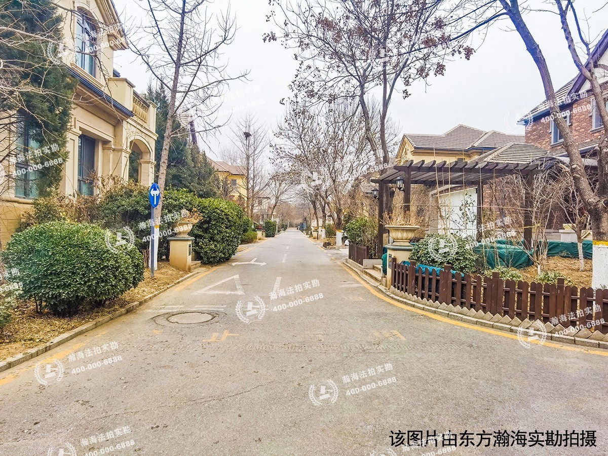 蓝岸丽舍82号（独栋别墅）