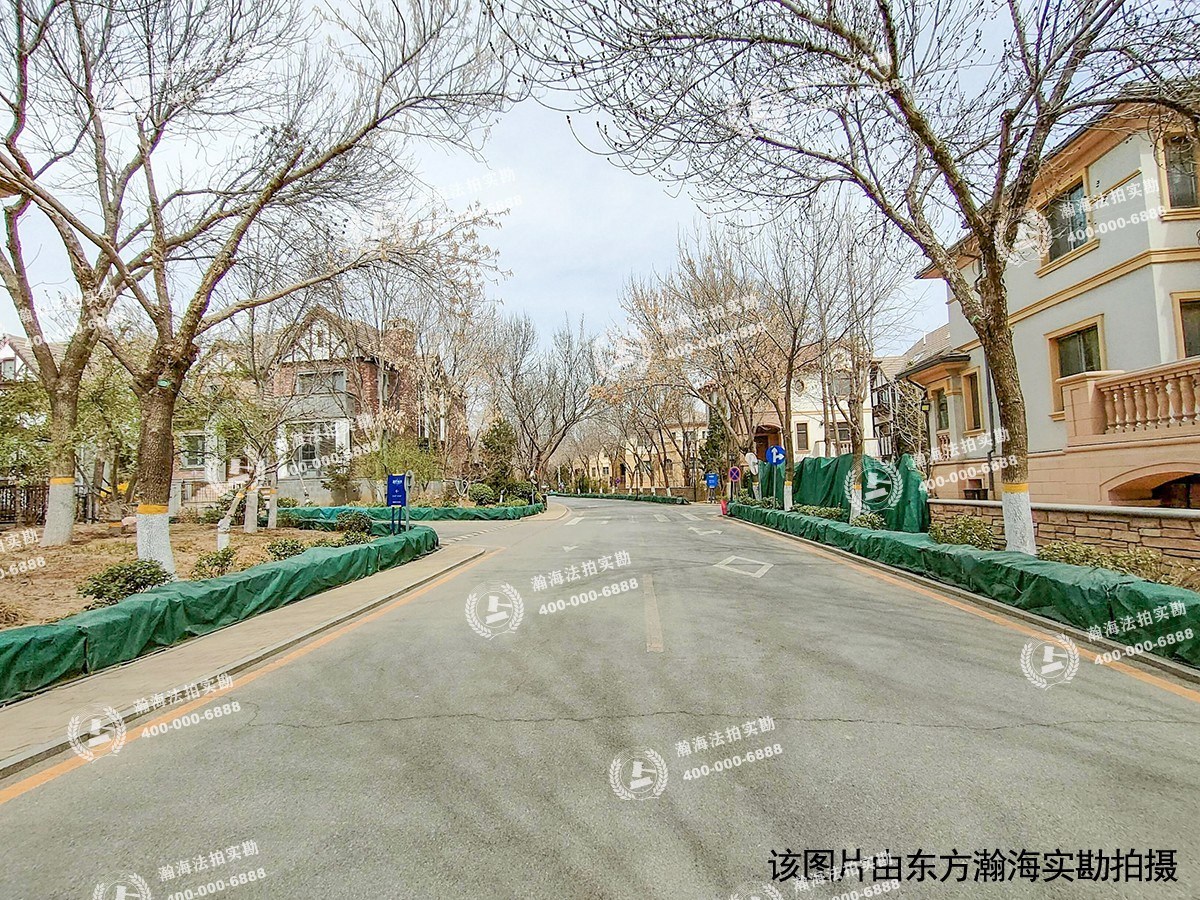 蓝岸丽舍82号（独栋别墅）