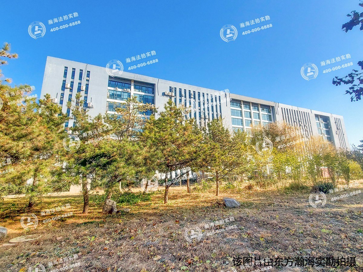 新华联科技大厦1号楼206室