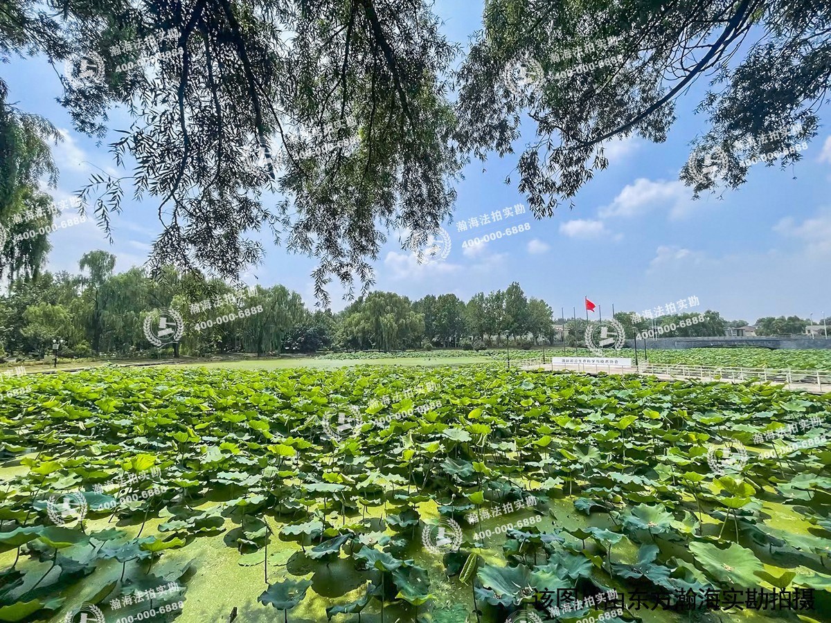 东方太阳城135号楼1单元101室