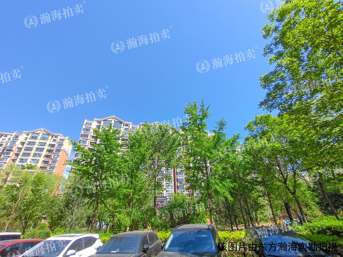九洲溪雅苑二区12号楼3单元802室（50%份额）