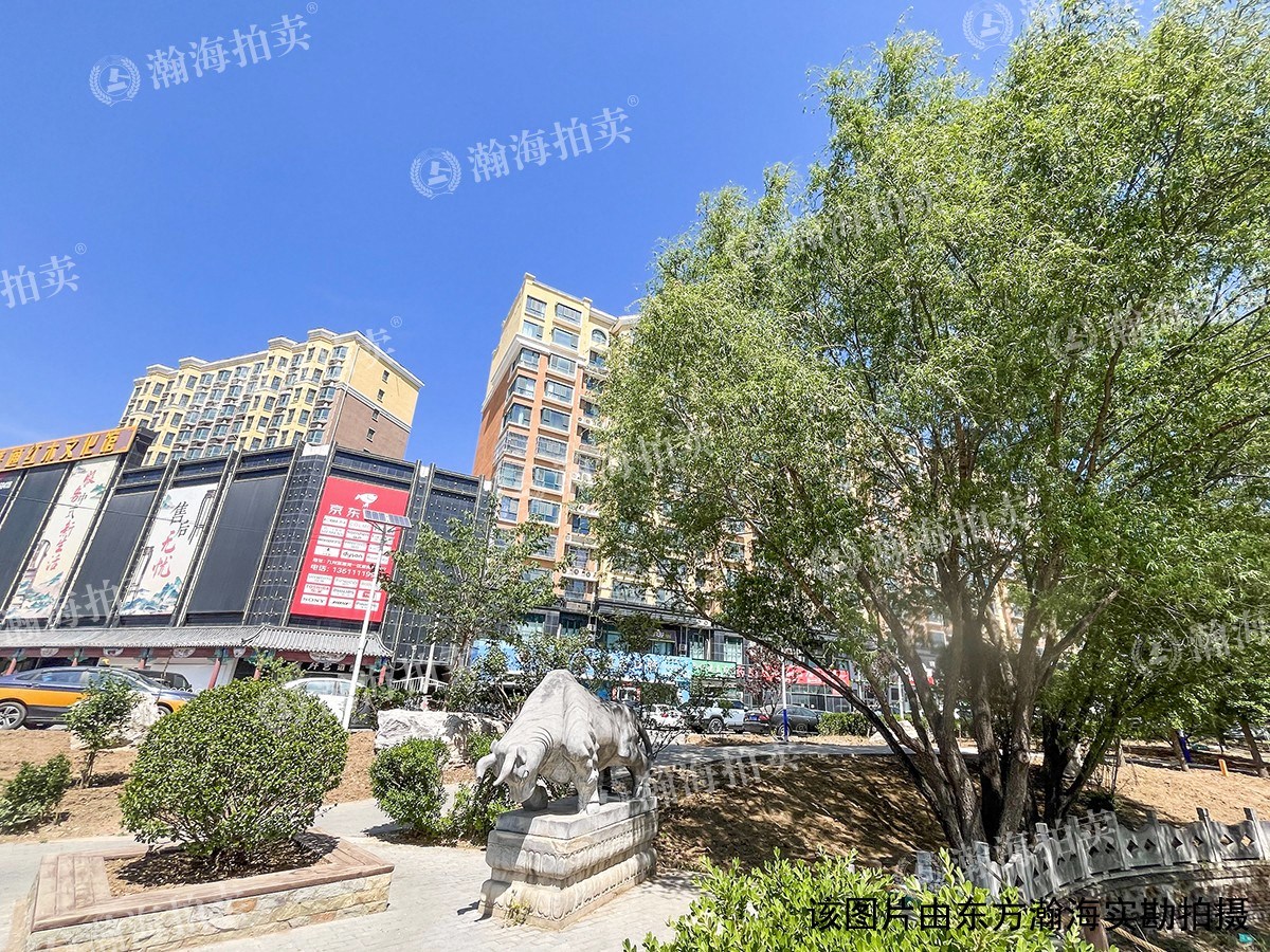 九洲溪雅苑二区12号楼3单元802室（50%份额）