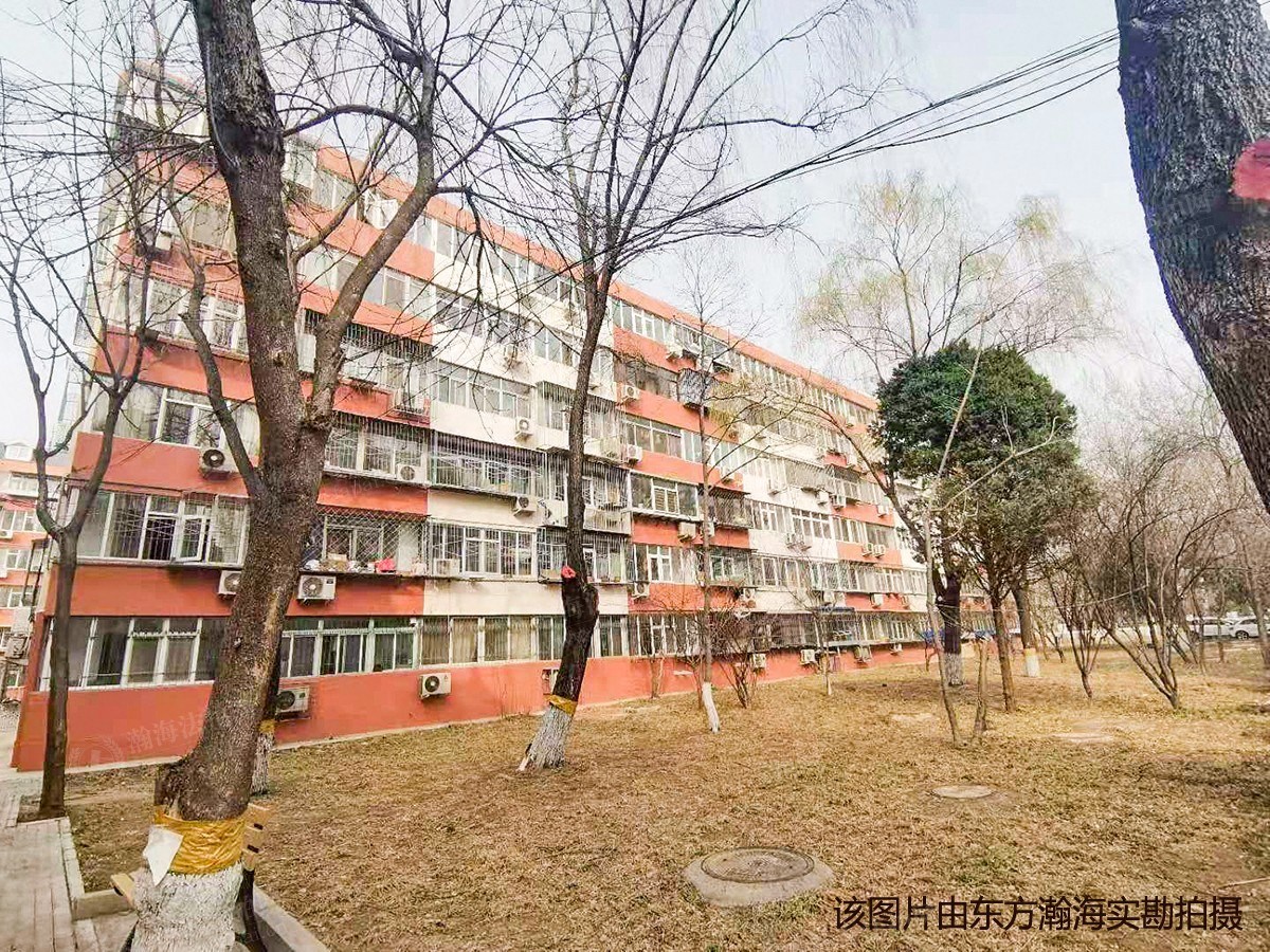 东王庄19号楼9单元102室